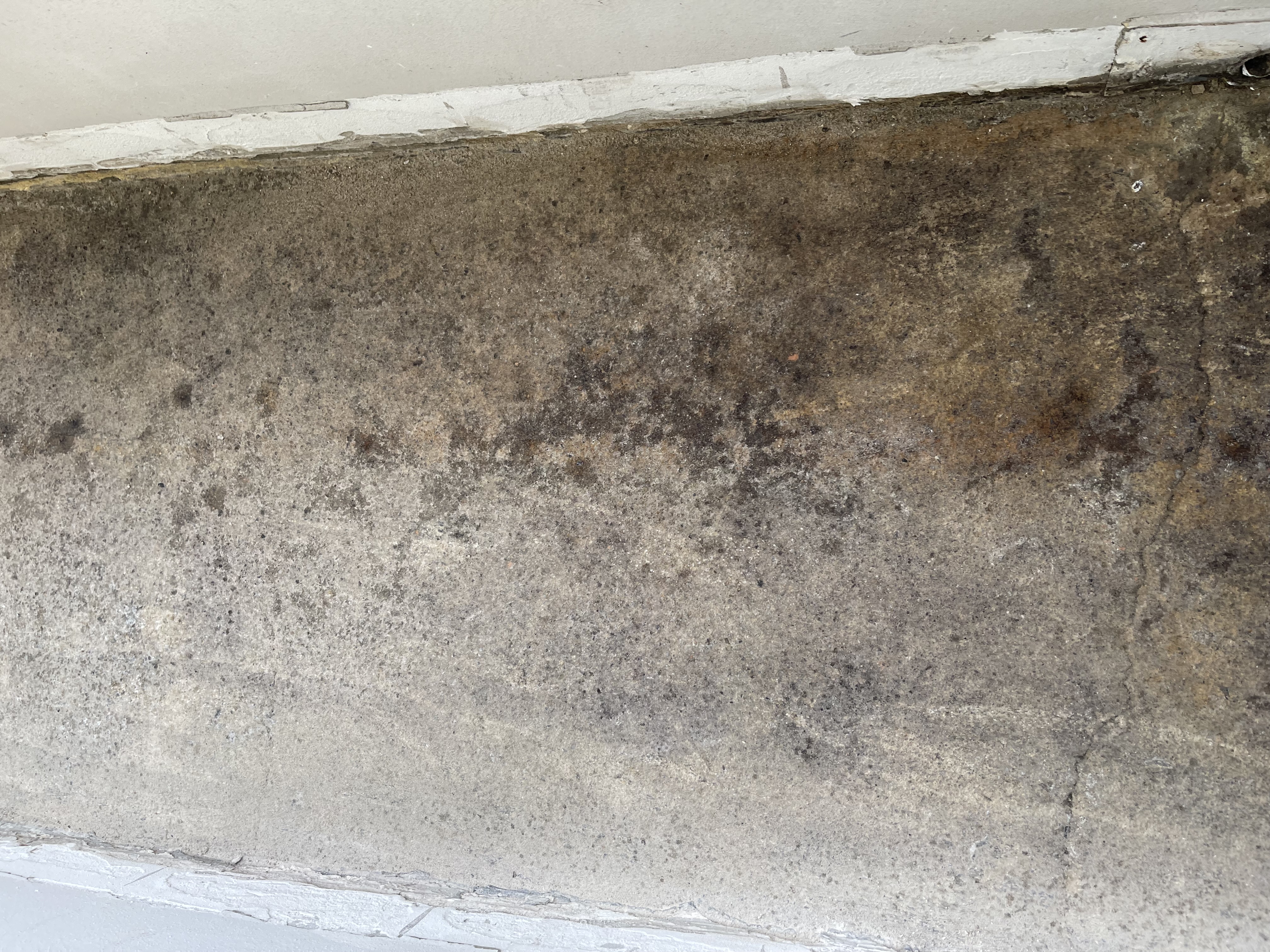 Rekonstrukce bytu - IMG_3905